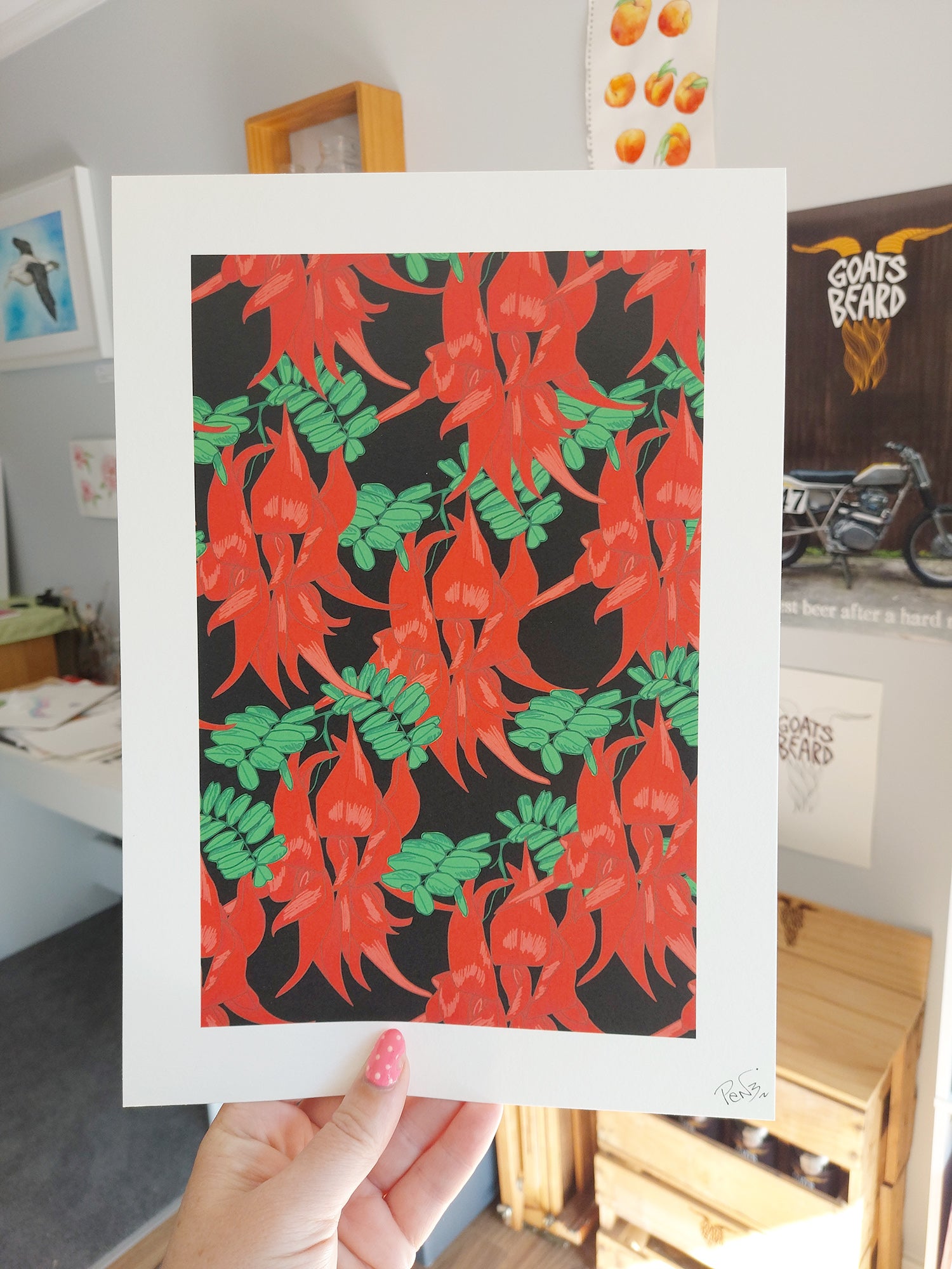 Kakabeak Art Print - NZ Native Flowers